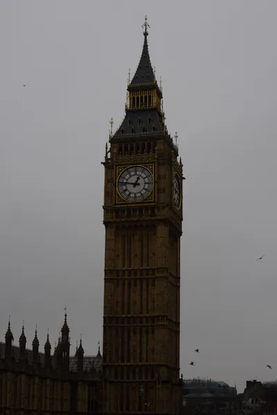 DSC_5810 (Large).JPG